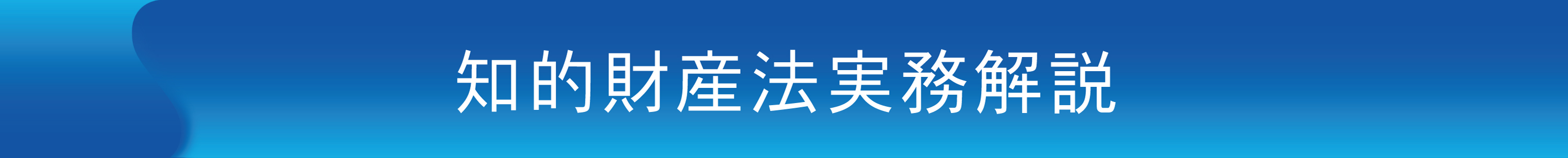 知的財産法実務解説