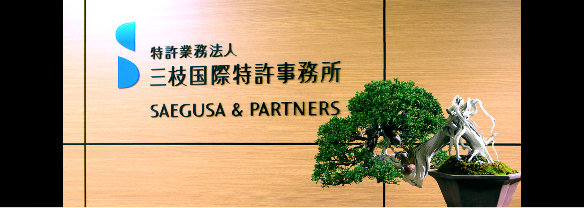 特許業務法人 三枝国際特許事務所 大阪 東京 Saegusa Partners Osaka Tokyo Japan